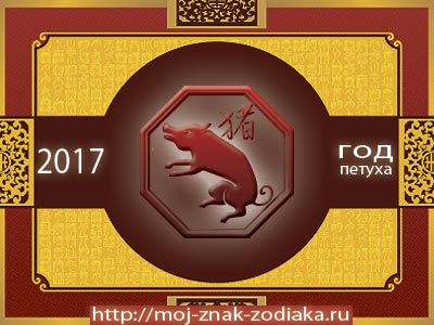 Свинья - гороскоп восточный на 2017 год Петуха