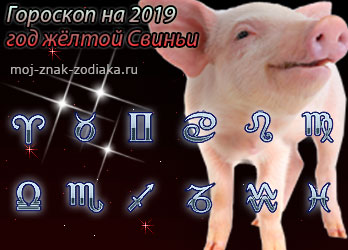 гороскопы на 2019 год Свиньи