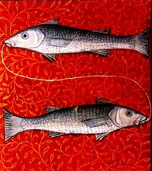 знак зодиака Рыбы
